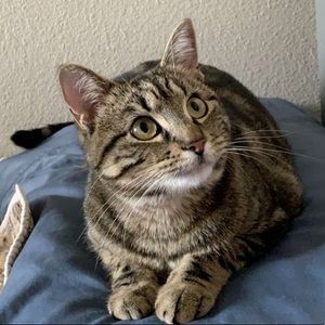 Meet your Posher, Kristyn